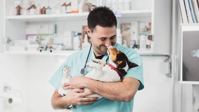 Alpharetta Veterinary Specialty & Emergency will host a hiring event on January 13 as it looks to expand its team.