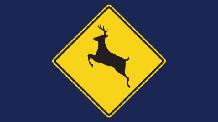 Alpharetta residents could expect to see more deer in the next several weeks as the annual whitetail deer mating season reaches its peak