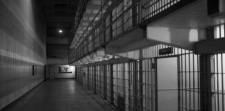 The scheme relied on one small but critical detail: an email address that looked almost identical to the address used by a legitimate Oregon business. That deception led to two wire transfers and, years later, a criminal sentence involving prison time, probation and full restitution.