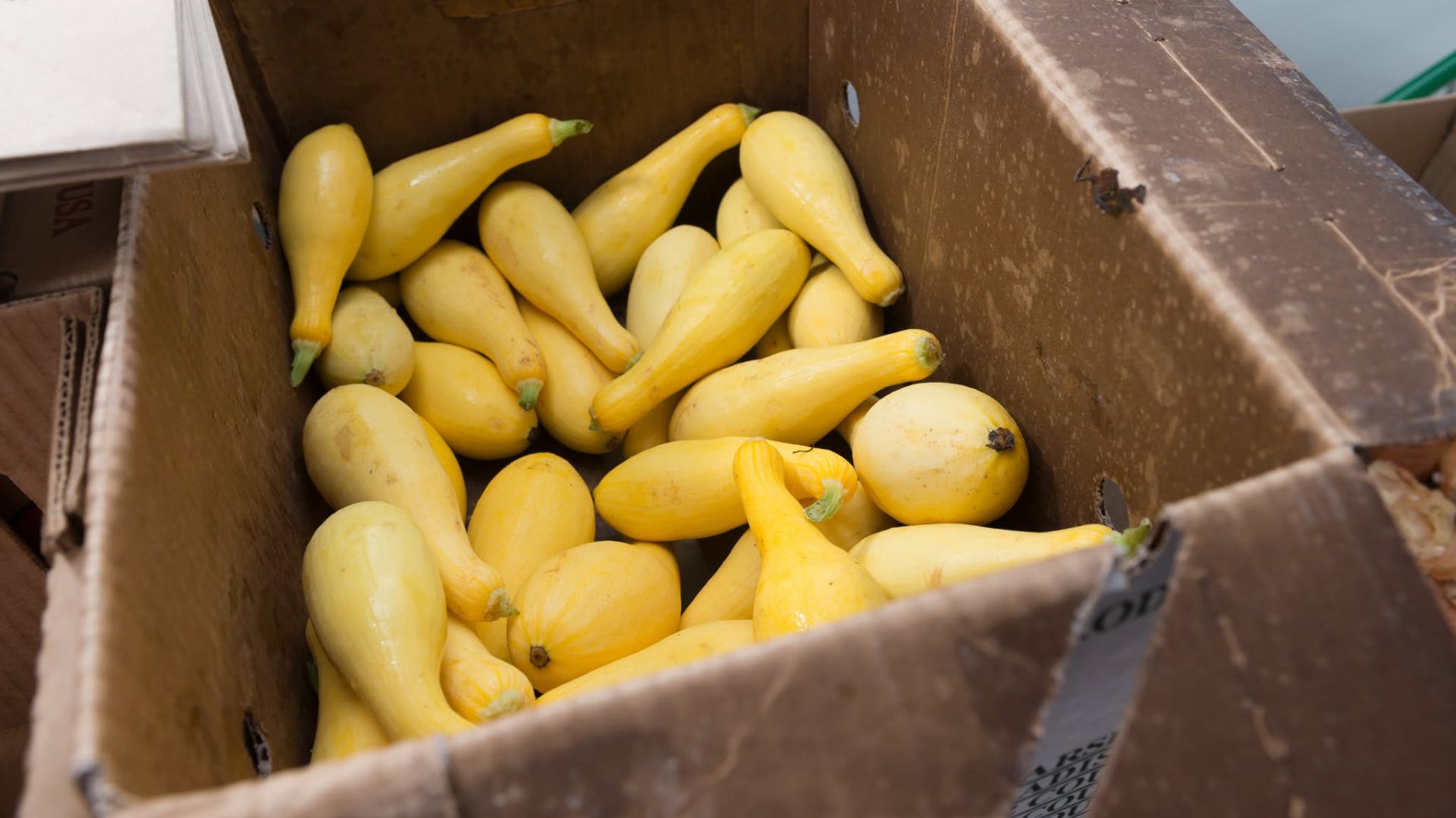 The Fulton Fresh Mobile Market announced two produce distribution events for October, continuing a busy year of community outreach. While the first event has already taken place, residents still have another chance to participate on Wednesday, October 21, 2026.